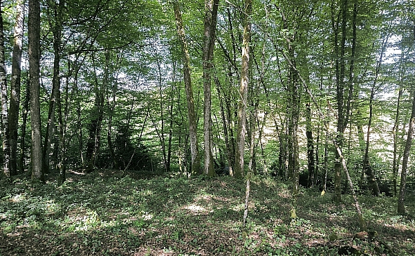 Property_For_Sale_in_France_with_Cle_France_Join_our_mailing_List_AMR00132_22_161402