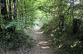 Property_For_Sale_in_France_with_Cle_France_Join_our_mailing_List_AMR00132_22_161757