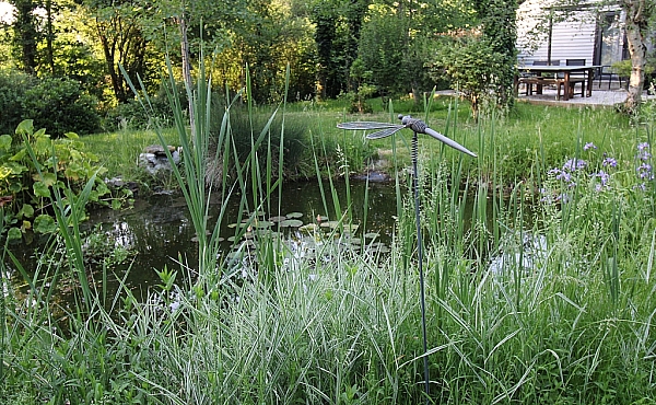 Property_For_Sale_in_France_with_Cle_France_Join_our_mailing_List_DJV06204_303