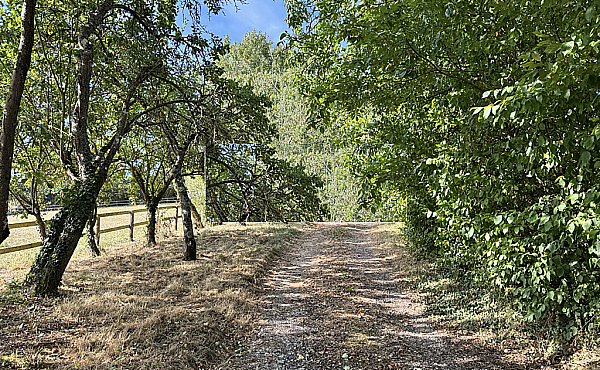 Property_For_Sale_in_France_with_Cle_France_Join_our_mailing_List_DJV06205_6.11