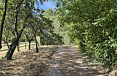 Property_For_Sale_in_France_with_Cle_France_Join_our_mailing_List_DJV06205_6.11