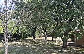 Property_For_Sale_in_France_with_Cle_France_Join_our_mailing_List_BHJ04119_7.31