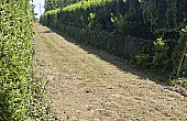 Property_For_Sale_in_France_with_Cle_France_Join_our_mailing_List_BHJ04119_7.35