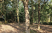 Property_For_Sale_Cle_France_AXL06108_8.29