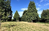 Property_For_Sale_in_France_with_Cle_France_Join_our_mailing_List_DJV06242_m