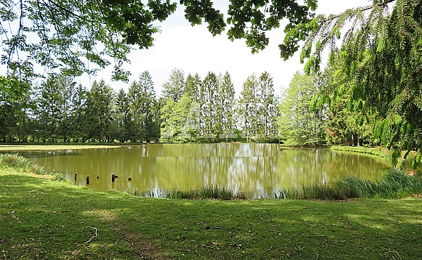 Property_For_Sale_in_France_with_Cle_France_Join_our_mailing_List_DJV06267_77b