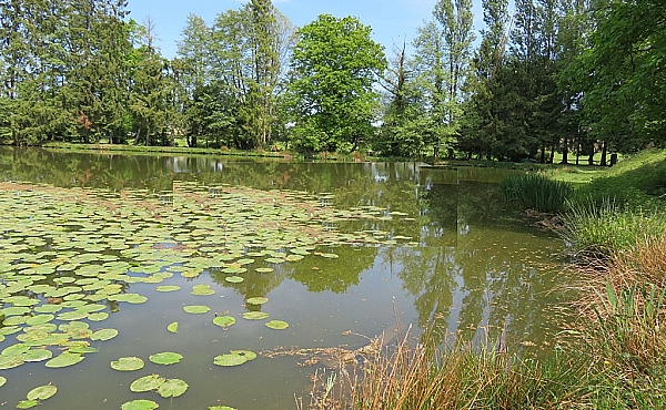 Property_For_Sale_in_France_with_Cle_France_Join_our_mailing_List_DJV06267_77l