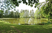 Property_For_Sale_in_France_with_Cle_France_Join_our_mailing_List_DJV06267_77b