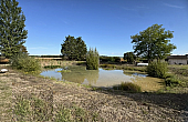 Property_For_Sale_in_France_with_Cle_France_Join_our_mailing_List_AXL06242_3.22