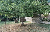 Property_For_Sale_in_France_with_Cle_France_Join_our_mailing_List_DJV06296n