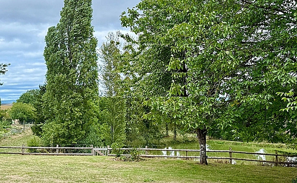 Property_For_Sale_in_France_with_Cle_France_Join_our_mailing_List_DJV06298_d