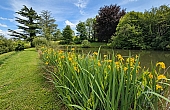 Property_For_Sale_in_France_with_Cle_France_Join_our_mailing_List_AMR00139_509_141155_1