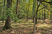 Property_For_Sale_in_France_with_Cle_France_Join_our_mailing_List_AMR00140_0828_122644_1