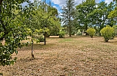 Property_For_Sale_in_France_with_Cle_France_Join_our_mailing_List_AMR00140_0828_122710_1
