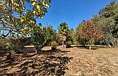 Property_For_Sale_in_France_with_Cle_France_Join_our_mailing_List_AMR00140_111603_1