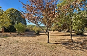 Property_For_Sale_in_France_with_Cle_France_Join_our_mailing_List_AMR00140_111641_1