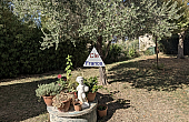 Property_For_Sale_in_France_with_Cle_France_Join_our_mailing_List_AXL06280_9.11
