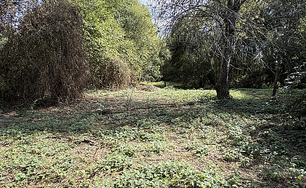 Property_For_Sale_in_France_with_Cle_France_Join_our_mailing_List_BHJ04129_7.28