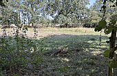 Property_For_Sale_in_France_with_Cle_France_Join_our_mailing_List_BHJ04129_7.31