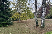Property_For_Sale_in_France_with_Cle_France_Join_our_mailing_List_DJV06320_b