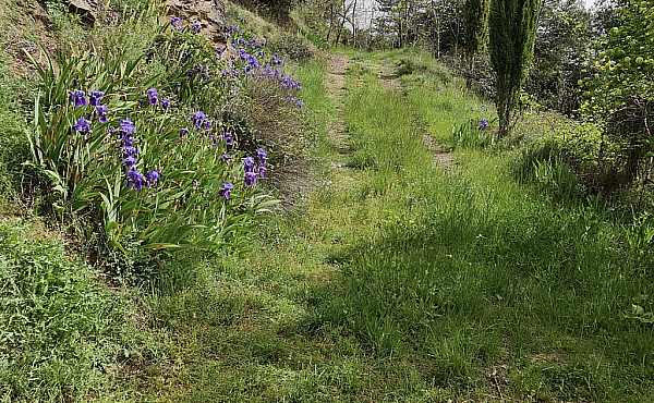 Property_For_Sale_in_France_with_Cle_France_Join_our_mailing_List_PSD00105_6.25