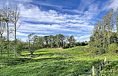 Property_For_Sale_in_France_with_Cle_France_Join_our_mailing_List_LNH13775_0.40