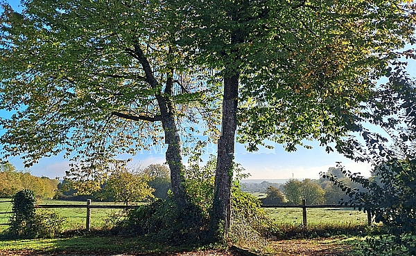 Property_For_Sale_in_France_with_Cle_France_Join_our_mailing_List_DJV06366_q