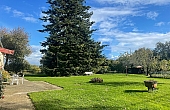 Property_For_Sale_in_France_with_Cle_France_Join_our_mailing_List_DJV06366_b