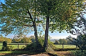Property_For_Sale_in_France_with_Cle_France_Join_our_mailing_List_DJV06366_q