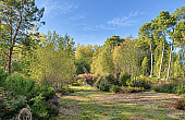 Property_For_Sale_in_France_with_Cle_France_Join_our_mailing_List_AXL06326_0.23