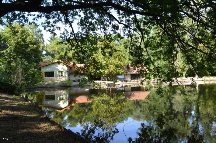 Stunning Spec House in a Large Park with Boasting Panoramic Lake View in the Mist of Conservation Ea