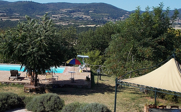 pool&pergola