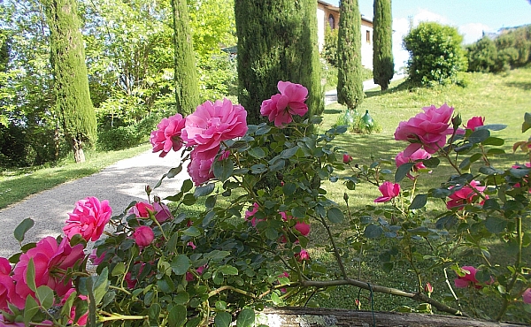 Property_For_Sale_in_France-with_Cle_France_Join_our_mailing_List_PSD4800374_1367