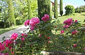 Property_For_Sale_in_France-with_Cle_France_Join_our_mailing_List_PSD4800374_1367
