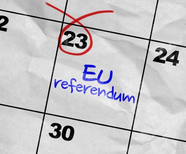 EU Referendum blogs