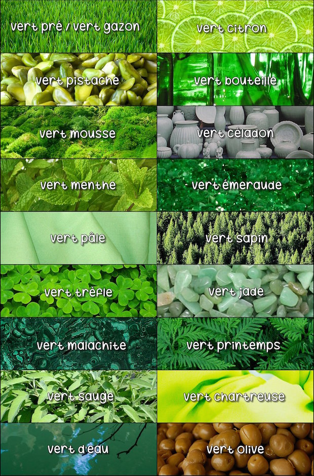 Understanding Green in French