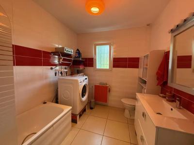 Lovely House With Swimming Pool