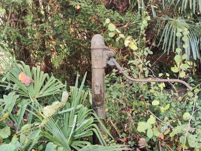 Beautiful 19th Century House with Lovely Garden