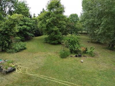 Main House with Barn in 1.5 Hectares of Land