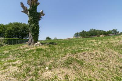 Traditional House to Renovate and Deveplop