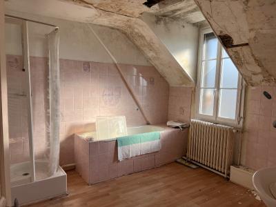 Character Country House to Restore