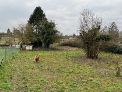 Large House to Renovate with Garden