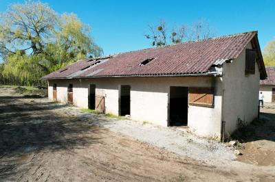 Equestrian Property For Sale, Huge Potential