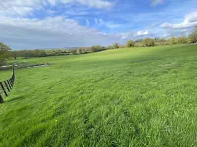 Equestrian Facilities Over 18 Hectares