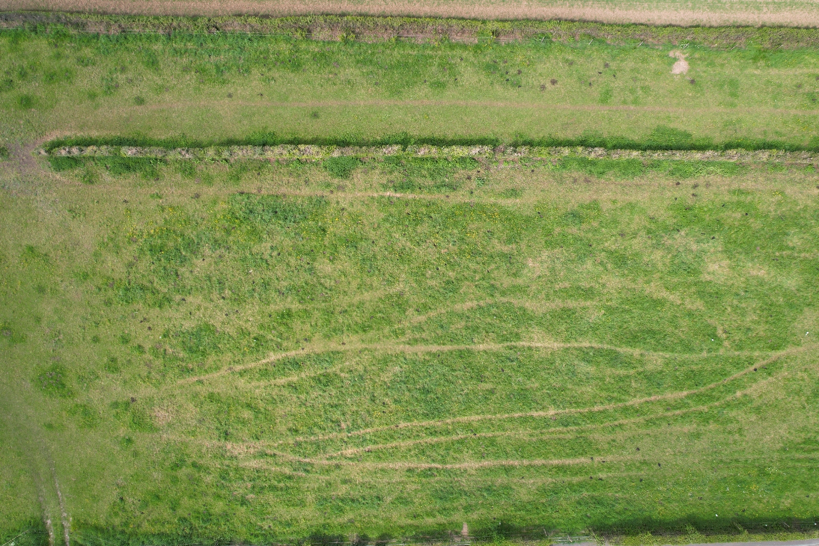 Main Photo of a Land for sale