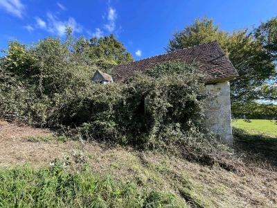 Two Buildings to Develop on 3.5 Hectares