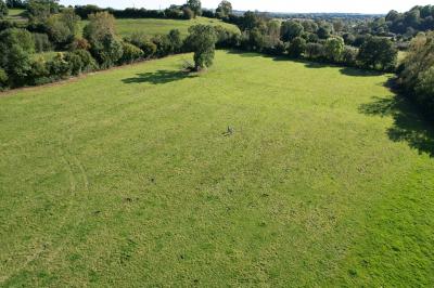 Two Buildings to Develop on 3.5 Hectares