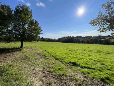 Two Buildings to Develop on 3.5 Hectares