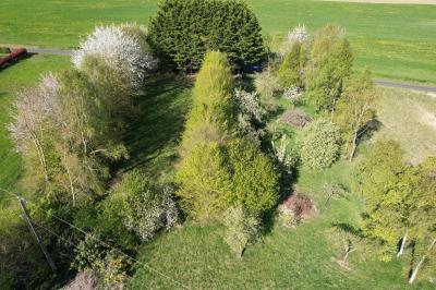 Superb Leisure Plot of 3/4 Acre in the Countryside