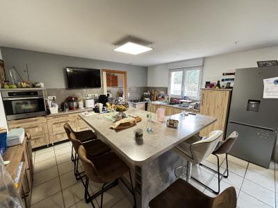 Lovely House with Pool and Large Garden